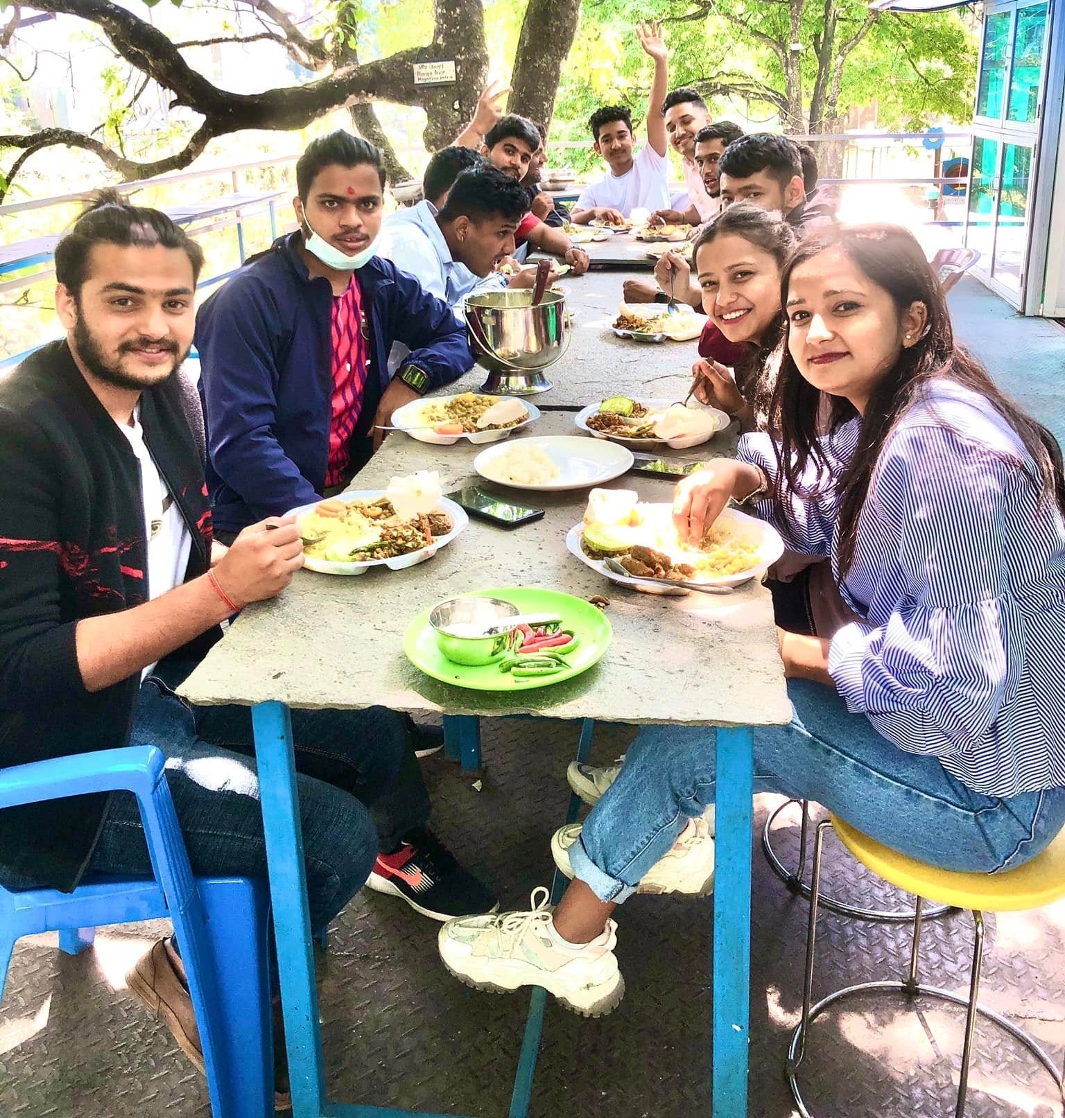 Tree house restaurant dining