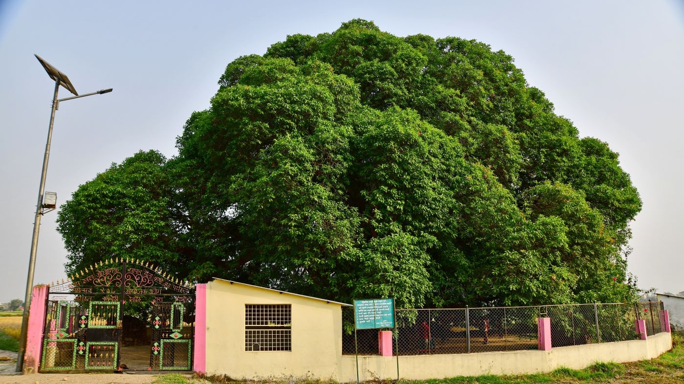 Devdaha